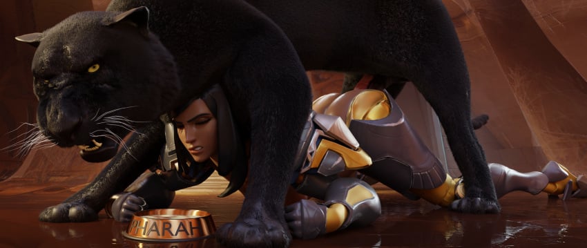 1animal 3d all_fours black_hair blender_(software) blizzard_entertainment clenched_fists clenched_teeth closed_eyes cum_bowl dark-skinned_female dog_bowl female feral_on_female feral_penetrating gifdoozer gloves mounting overwatch panther pharah puma zoophilia