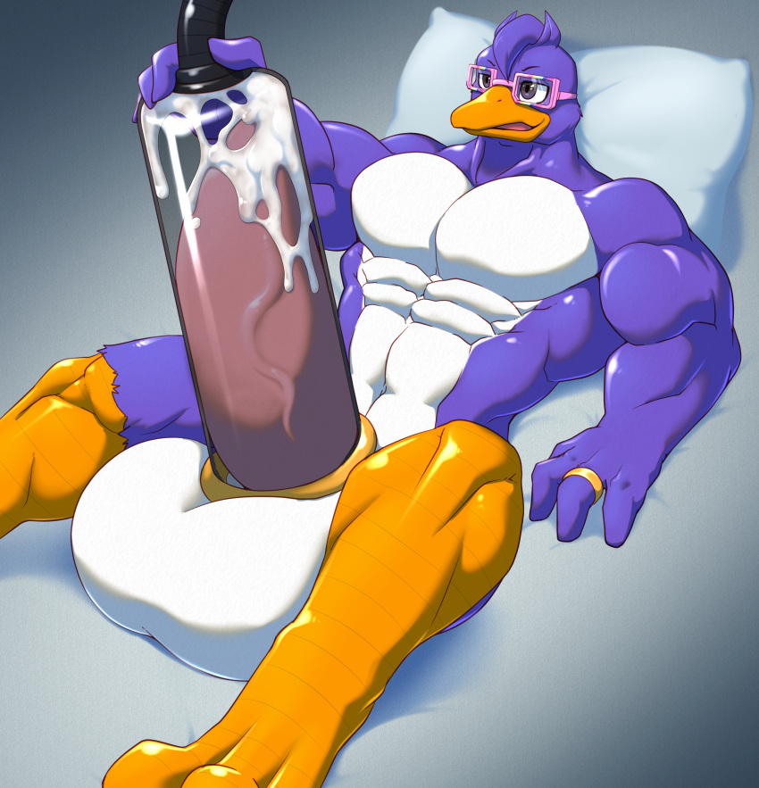 2022 4_fingers abs absurd_res accessory anatid anseriform anthro avian balls beak belly big_balls big_muscles big_penis bird bodily_fluids cock_ring croiyan cum duck english_text eyewear fingers genital_fluids genitals glasses hair hi_res huge_balls huge_cock hyper hyper_genitalia hyper_penis jewelry male male_focus male_only male_solo mostly_nude muscular muscular_male orange_beak orange_feet penile penis penis_accessory penis_jewelry penis_milking penis_pump pillow pink_eyewear pink_glasses profanity purple_body purple_eyes ring simple_background solo solo_male text white_balls white_belly