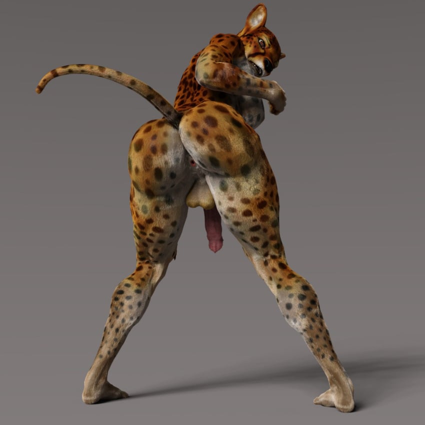 1:1 3d_(artwork) 5_fingers 5_toes animal_genitalia animal_penis anthro anus ass ass_up bent_over big_penis black_nose breasts cheetah cinder_(earthclan) digital_media_(artwork) earthclan3d feet felid feline feline_penis fingers flaccid fur futanari genitals glistening glistening_genitalia glistening_penis grey_background gynomorph hi_res intersex looking_at_viewer looking_back mammal nipples nude penile_spines penis pink_anus pink_penis raised_tail red_eyes side_boob simple_background solo spots spotted_body spotted_fur spread_legs spreading toes wide_stance yellow_body yellow_fur