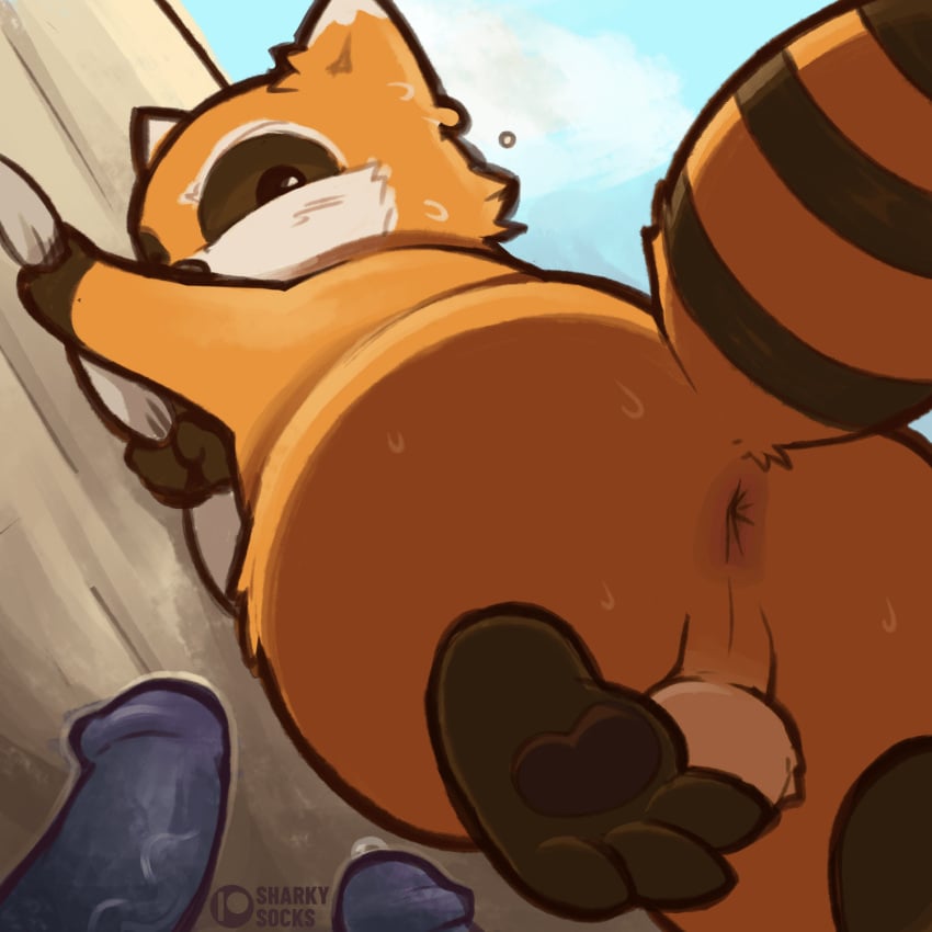 anthro anus ass backsack balls big_butt bodily_fluids disembodied_penis fur genitals group hi_res imminent_sex looking_back low-angle_view male male/male mammal orange_body orange_fur penis perineum procyonid project_zomboid raccoon semi-anthro sharkysocks solo_focus spiffo sweat sweaty_butt the_indie_stone zombie