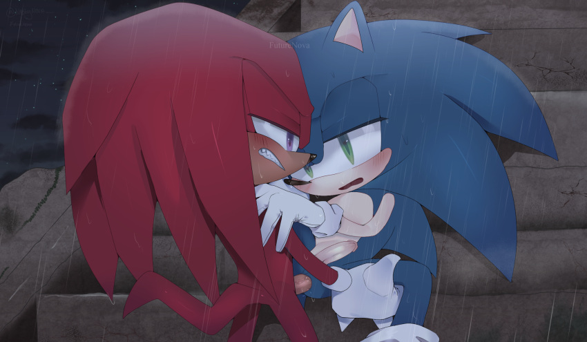 anal anal_sex furry gay knuckles_the_echidna legs_held_open male_only male_penetrated outside penis rain sex sonic_(series) sonic_the_hedgehog sonic_the_hedgehog_(series) sonknux