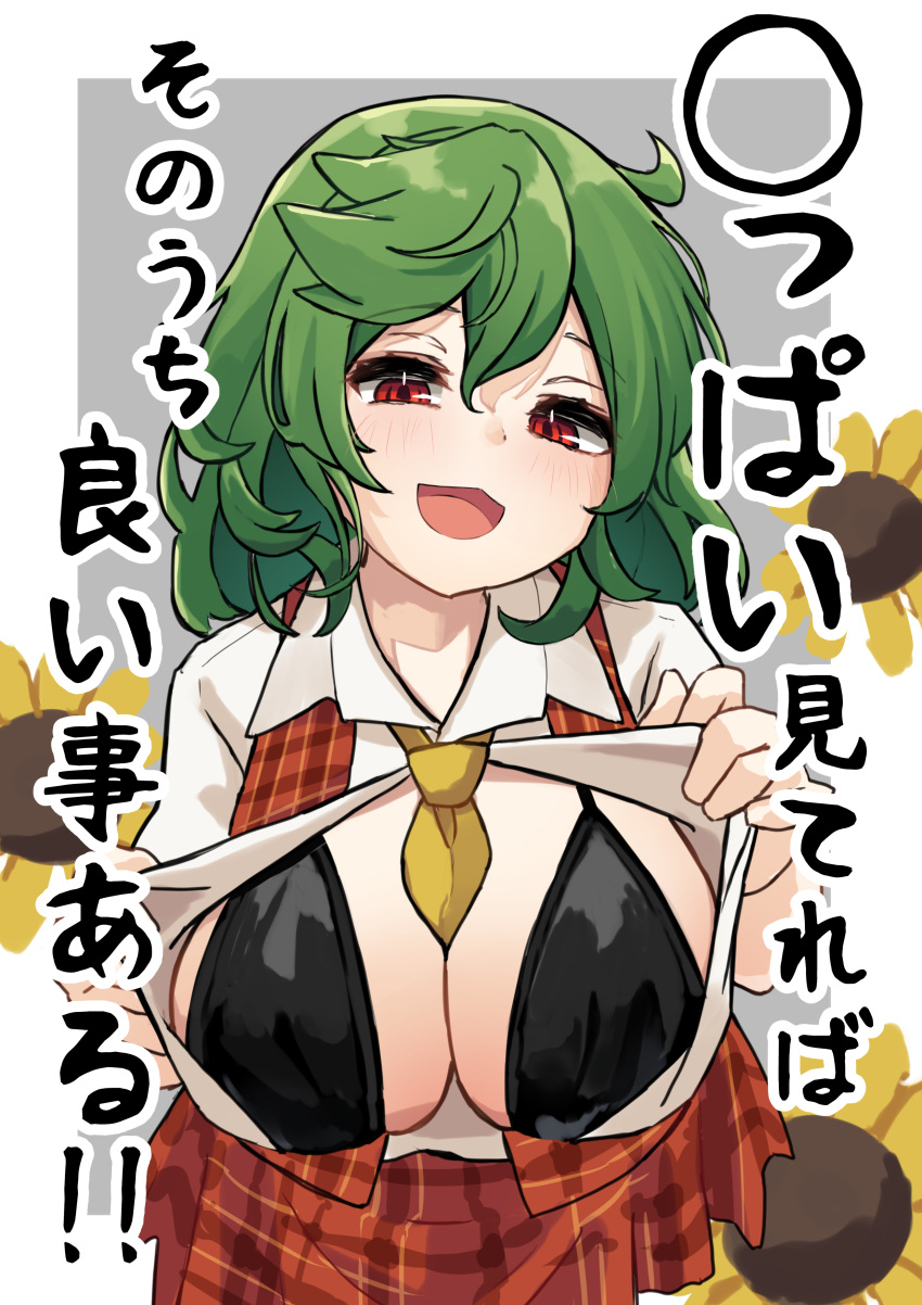 :d absurdres ascot between_breasts black_bra bra breasts commentary_request female flower green_hair grey_background highres hira-san huge_breasts kazami_yuuka looking_at_viewer mature_female milf open_clothes open_mouth open_shirt plaid plaid_skirt plaid_vest red_eyes red_skirt red_vest shirt short_hair skirt smile solo sunflower touhou translated underwear upper_body vest white_shirt yellow_ascot yuka_kazami