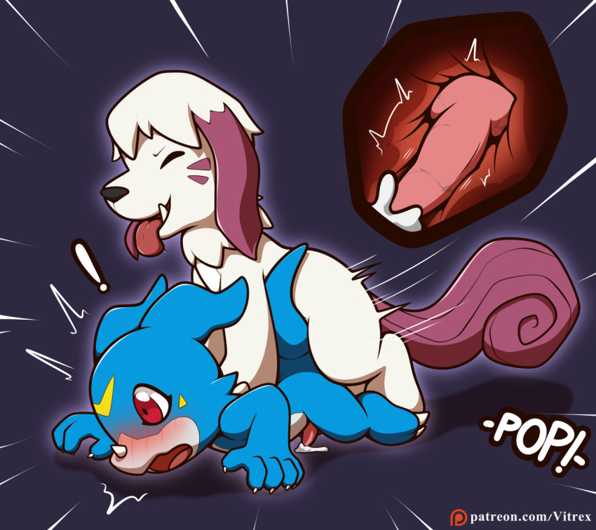 all_fours anal anal_sex animal_genitalia animal_penis anthro bandai_namco blue_body blush bodily_fluids canid canine canine_genitalia canine_penis claws cum cum_in_ass cum_inside cum_on_ground digimon digimon_(species) digital_media_(artwork) doggy_style duo ejaculation erection fangs feral from_behind_position fur genital_fluids genitals horn knot knotting labramon male male/male male_penetrated male_penetrating male_penetrating_male mammal nude open_mouth orgasm penetration penis scalie sex simple_background smile tail teeth text tongue url veemon vitrex white_body white_fur