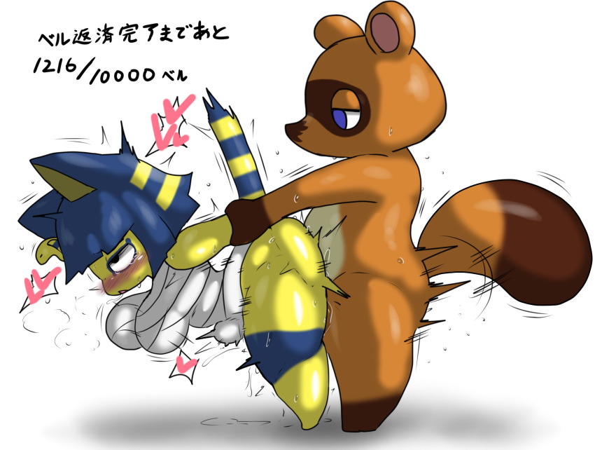 1boy 1girls animal_crossing ankha ankha_(animal_crossing) anthro blush breasts cat_ears cat_tail catgirl enigi09 feline female heart male nintendo pussy_juice sex snooty_villager sweat tail tom_nook