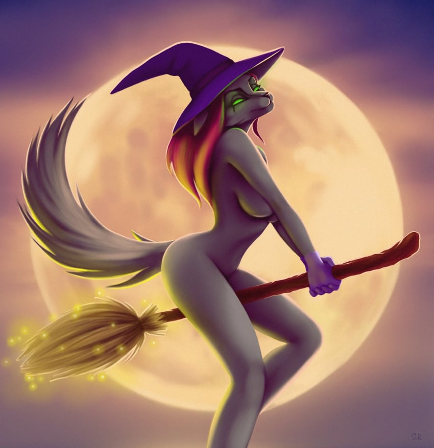 anthro broom canid canine canis cleaning_tool clothing domestic_dog female gloves green_eyes halloween handwear hi_res holidays magic_user mammal moon sara.roman solo tail witch wolf