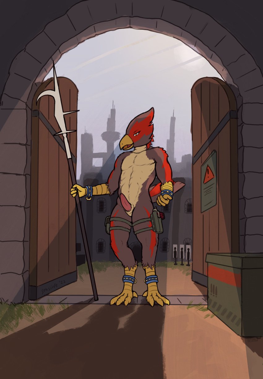 1boy absurd_res accipiter accipitrid accipitriform anthro avian beckoning billhook_(weapon) bird castle detailed_background erection futuristic genitals gesture gun handgun hi_res holster male male_only medieval military penis pistol ranged_weapon sensiive solo training true_hawk warpaint weapon