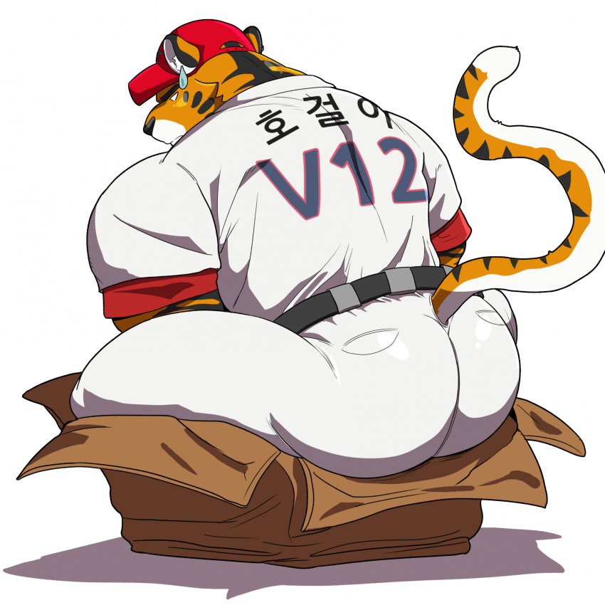 anthro ass baseball_cap baseball_uniform belt big_butt box clothed clothing container crouching felid feline_tail goldlightyou hat headgear headwear hi_res hogeori kbo_league kia_tigers korean_text male mammal markings muscular muscular_male pantherine raised_tail solo solo_focus sport sportswear striped_markings stripes tail text tiger uniform