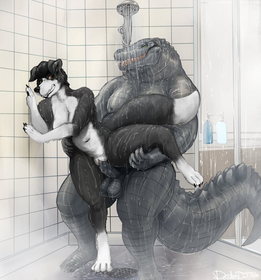 alligator alligatorid anthro anthro_only balls bathing black_body black_fur black_hair border_collie breasts canid canine canis collie crocodilian doctordj domestic_dog duo female female_penetrated floppy_ears fur genitals grey_body grey_scales hair herding_dog hi_res male male/female male_penetrating male_penetrating_female mammal one_leg_up overweight overweight_anthro overweight_male pastoral_dog penetration penile penile_penetration penis_in_pussy raised_leg reptile sarah_(wheresmysocks) scales scalie sex sharp_teeth sheepdog shower shower_sex showering standing standing_sex tail teeth thick_tail vaginal_penetration water wet