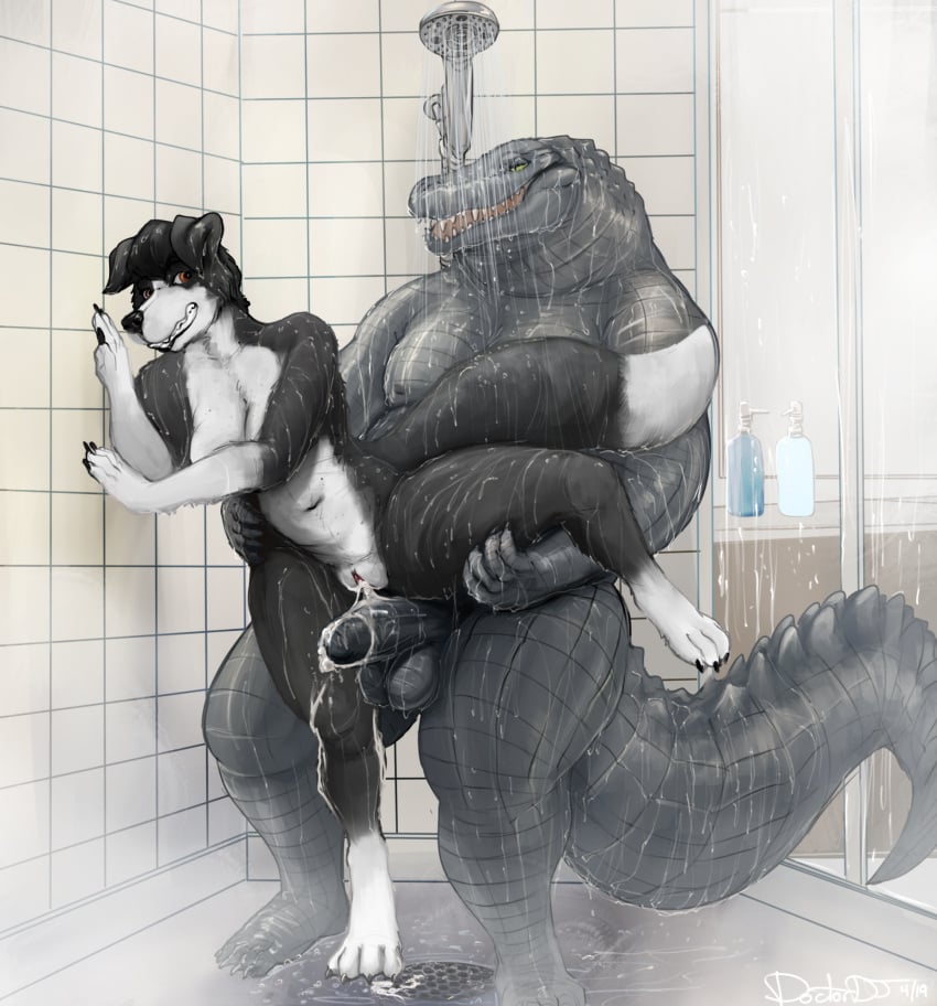 alligator alligatorid anthro anthro_only balls bathing black_body black_fur black_hair bodily_fluids border_collie breasts canid canine canis collie crocodilian cum cum_in_pussy cum_inside doctordj domestic_dog duo female floppy_ears fur genital_fluids genitals grey_body grey_scales hair herding_dog hi_res humanoid_genitalia humanoid_penis male male/female mammal one_leg_up overweight overweight_anthro overweight_male pastoral_dog penis pull_out raised_leg reptile sarah_(wheresmysocks) scales scalie sex sharp_teeth sheepdog shower shower_sex showering standing standing_sex tail teeth thick_tail water wet