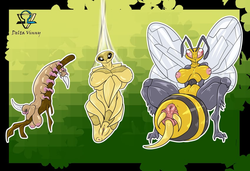 absurd_res animal_genitalia antennae_(anatomy) anthro anthrofied anus areola arthropod arthropod_abdomen arthropod_abdomen_anus arthropod_abdomen_cloaca arthropod_abdomen_genitalia arthropod_abdomen_pussy beedrill beetle black_eyes breasts brown_body chrysalis cloaca deltavinny female genitals group hi_res humanoid_genitalia insects kakuna looking_at_viewer nintendo non-mammal_breasts pokémon_(species) pokémorph pokemon pussy red_eyes simple_background spread_legs spreading stinger trio video_games weevil wings yellow_body