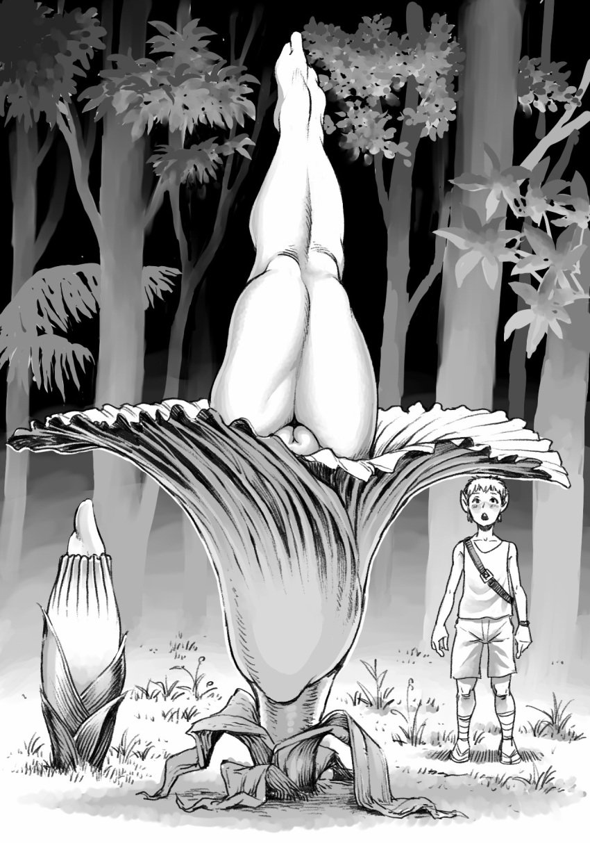 1boy alraune amorphophallus_titanum blush double_deck female flower forest giant_flower greyscale highres legs_together monochrome monster_girl nature original parted_lips plant plant_girl pussy shirt shorts standing titan_arum uncensored upside-down vagina wide-eyed