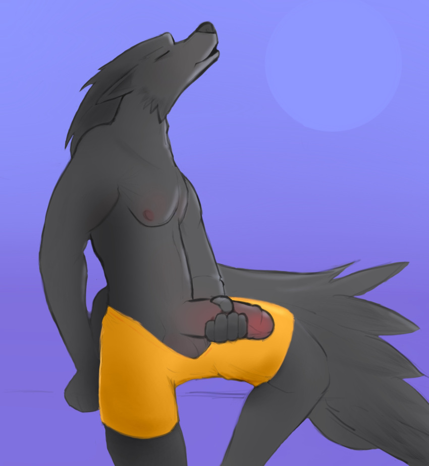 anthro balls bottomwear bottomwear_down bottomwear_pull canid canid_humanoid canine canine_humanoid canis clothed clothing clothing_pull erection genitals hi_res howl male mammal nipples pants pants_down pants_pull partially_clothed penis pubbi shaded simple_background simple_shading solo were werecanid werecanine werewolf wolf wolf_humanoid