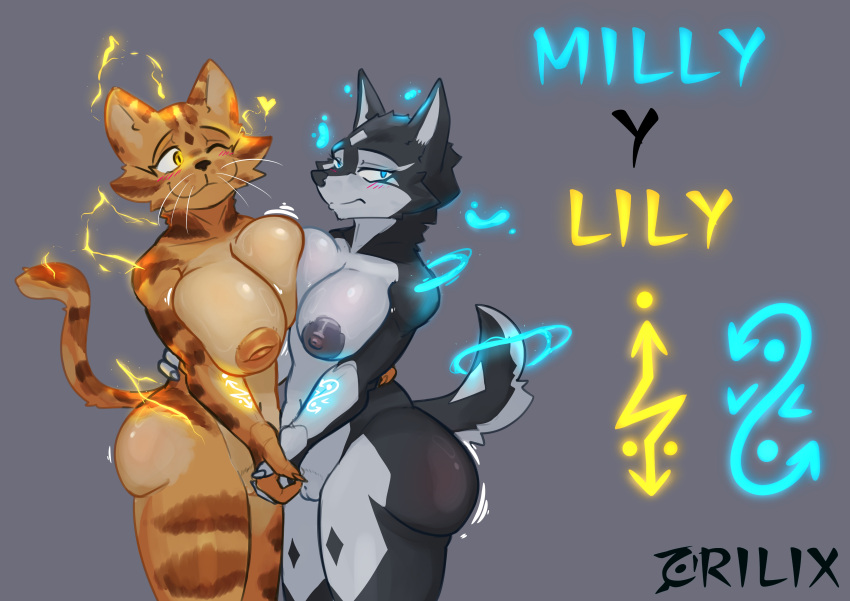 absurd_res anthro ass big_breasts big_butt blue_eyes blush breast_size_difference breasts canid canine canis crilix domestic_dog duo electricity felid feline female female/female fluffy fluffy_tail genitals happy hi_res husky lightning lily_(crilix) magic mammal milly_(crilix) nervous nipples nordic_sled_dog pussy smile spitz tail tsundere warrior water yellow_eyes