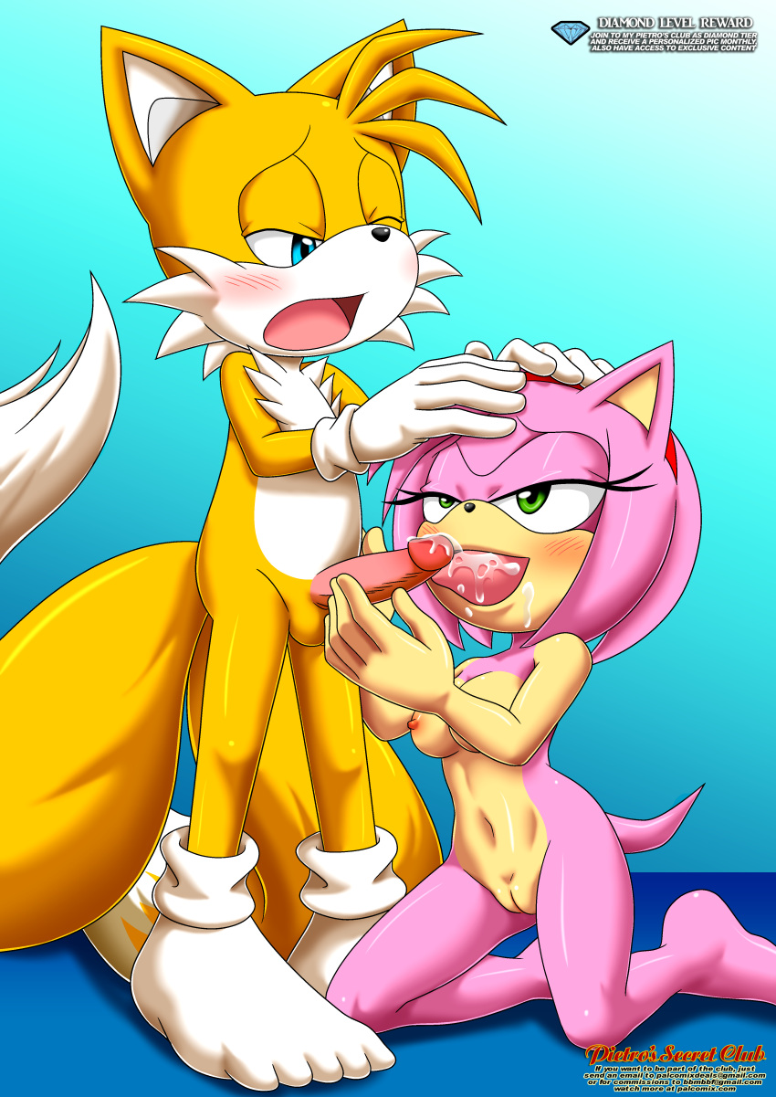 amy_rose balls bbmbbf breasts cum cum_on_tongue diamond_level female licking licking_penis male male/female mobius_unleashed nude one_eye_closed open_mouth palcomix penilingus penis pietros_secret_club pussy sega sex sonic_(series) sonic_the_hedgehog_(series) tails tongue tongue_out