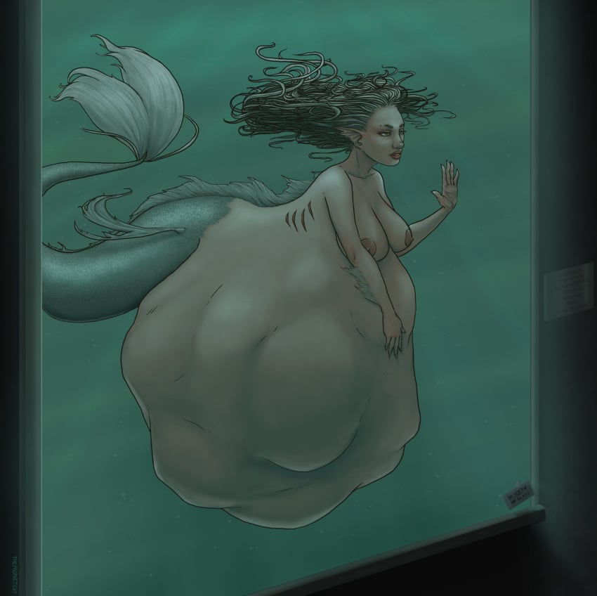 1girls belly big_belly big_breasts breasts female huge_belly large_breasts mermaid monster_girl same_size_vore solo_female theprophetcat vore water