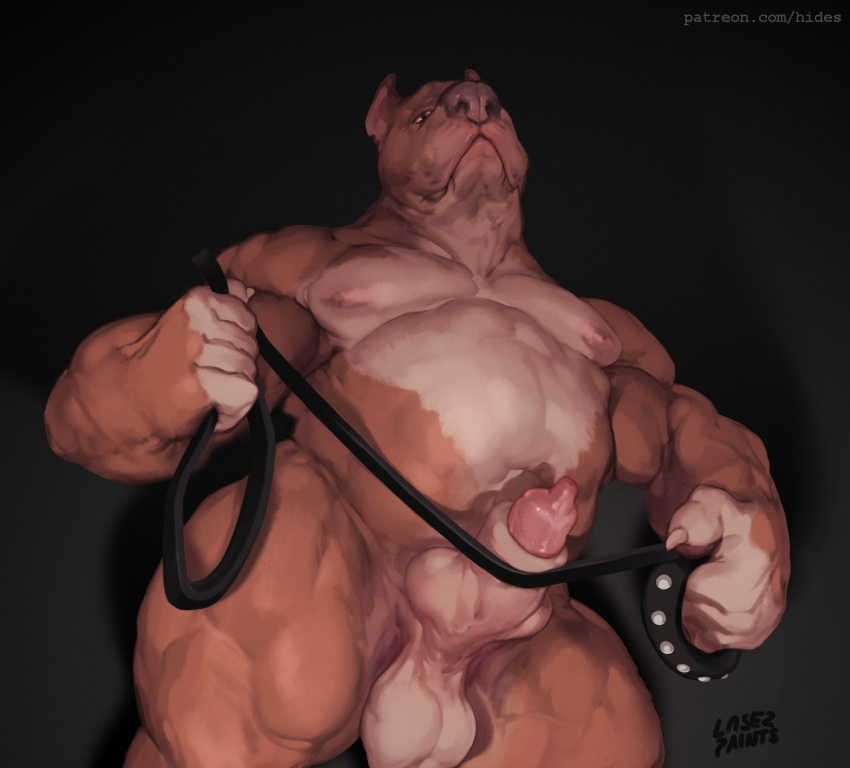 2022 animal_genitalia animal_penis anthro balls biped black_background brown_body brown_fur canid canine canine_penis canis collar digital_media_(artwork) domestic_dog fur genitals knot knot_in_sheath laser_(artist) leash low-angle_view male male_only mammal multicolored_body multicolored_fur musclegut nipples pecs penis penis_tip pit_bull saggy_balls sheath simple_background solo two_tone_body two_tone_fur white_body white_fur