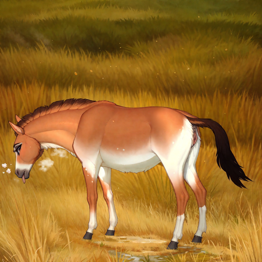 1:1 ai_generated belly brown_body brown_eyes brown_fur colored detailed detailed_background equid equine female feral fur genitals grassland hi_res horse_tail lungfish1223 mammal presenting przewalski's_horse pussy raised_tail solo tongue tongue_out white_belly wild_horse zoophilia