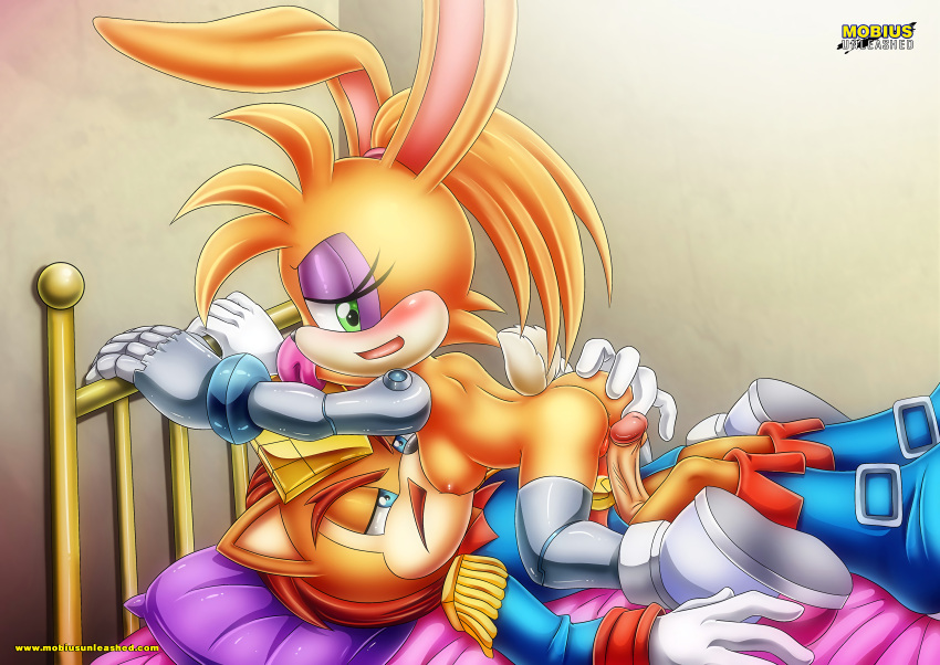 archie_comics bbmbbf bunnie_rabbot furry male mobius_unleashed nigel_acorn palcomix sega sonic_(series)