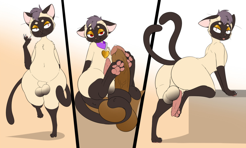 animal_genitalia anthro ass balls bedroom_eyes big_butt blep bodily_fluids claws collar conditional_dnp domestic_cat duo erection felid feline felis fully_sheathed genital_fluids genitals half-closed_eyes hi_res hindpaw male male/male mammal multi_tail narrowed_eyes pawjab paws penile_spines penis precum prehensile_tail presenting psy101 red_eyes seductive sheath smile tongue tongue_out whiskers wide_hips