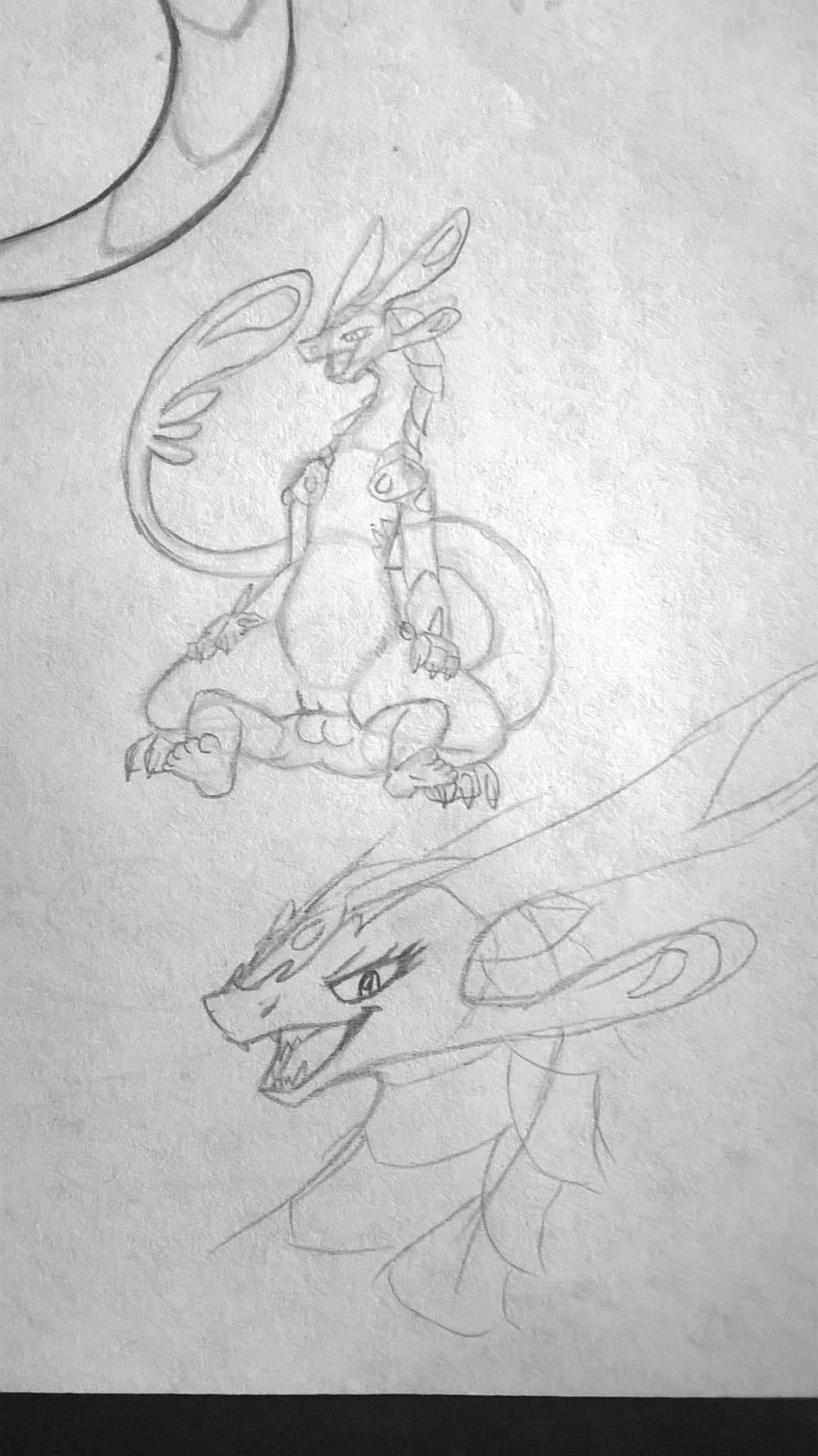 bakugan bakugan_battle_brawlers human scalie sketch tagme wavern wip wyvern