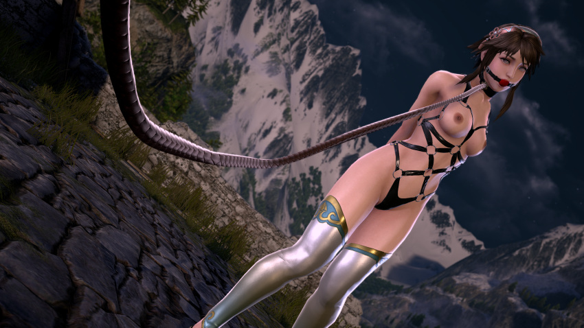 1girls 3d arms_behind_back ball_gag bondage captured chai_xianghua collar defeated female_only femsub gag gagged harness humiliation leash mynameisbuck slave slavegirl soul_calibur