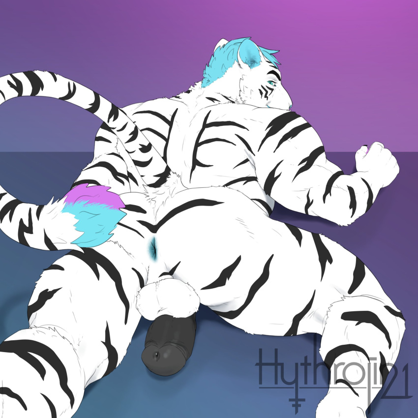 Xaerys Rule 34 Image