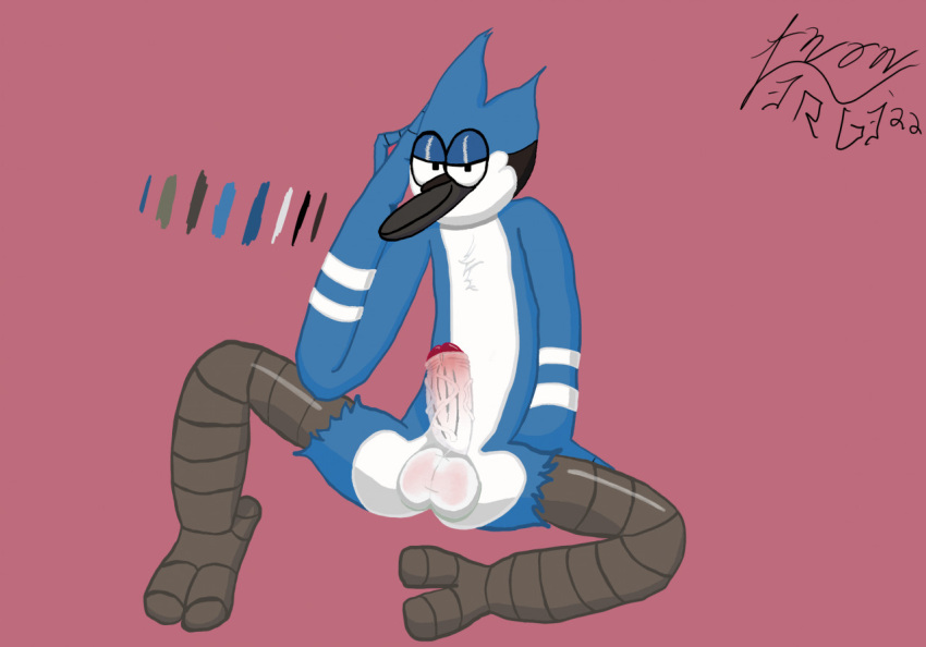 abstract_background anonv3rg3 anthro avian balls bird blue_body blue_jay cartoon_network corvid erection genitals half-closed_eyes jay_(bird) male male_only mordecai_(regular_show) narrowed_eyes new_world_jay oscine passerine penis regular_show solo solo_male white_body