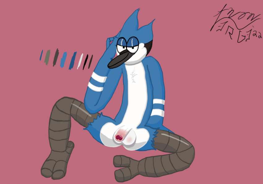 abstract_background anonv3rg3 anthro avian balls bird blue_body blue_jay cartoon_network corvid flaccid gay genitals half-closed_eyes jay_(bird) male male_focus mordecai_(regular_show) narrowed_eyes new_world_jay oscine passerine penis regular_show solo white_balls white_body white_penis