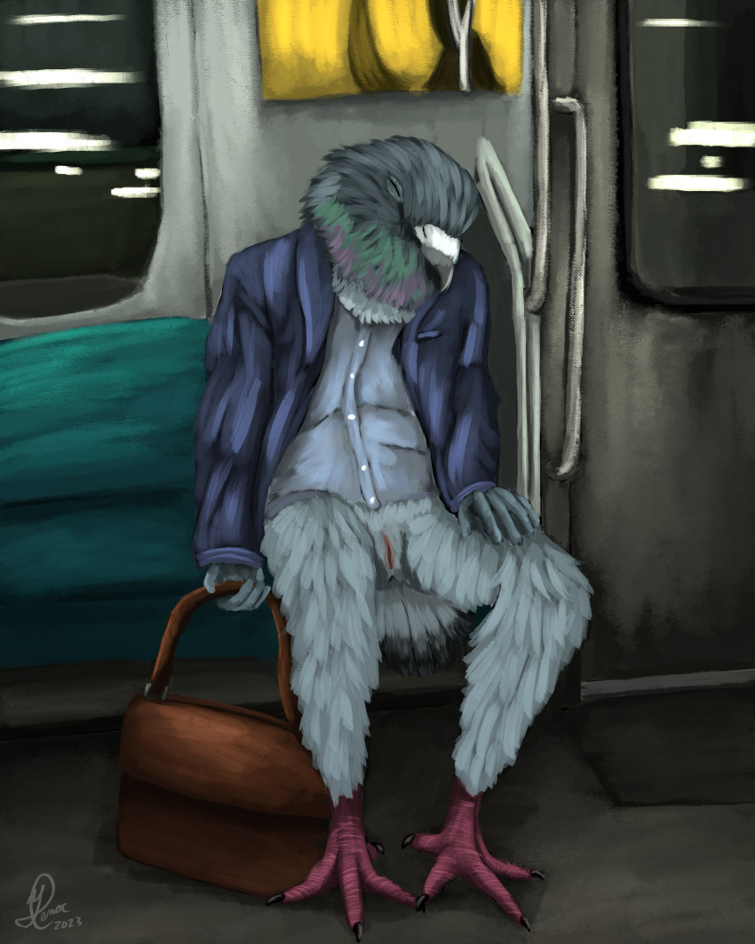 4:5 absurd_res animal_genitalia anthro avian bird birdtember businesswear cloaca clothing columbid feathers genitals hi_res male partial_nudity pigeon sitting_up sleeping solo suit suitcase train vehicle yenocwolf