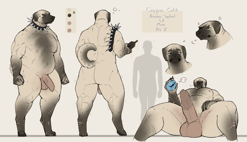 2022 absurd_res anthro balls biped bottle canid canine canis collar digital_media_(artwork) domestic_dog erection flaccid floppy_ears fur genitals hi_res humanoid_genitalia humanoid_penis male mammal model_sheet musclegut muscular muscular_anthro muscular_male penetrable_sex_toy penis securipun sex_toy solo solo_male spiked_collar spikes tan_body tan_fur