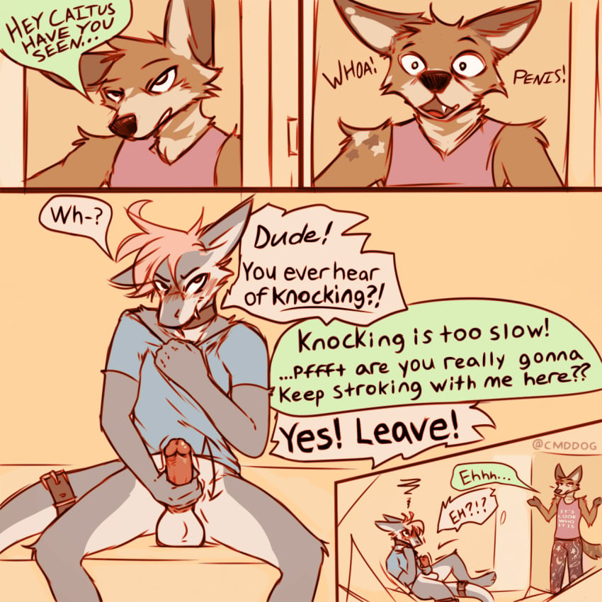 2boys anthro balls being_watched blue_clothing blue_shirt blue_topwear blush bottomless bottomless_male bottomwear caitus_(lawyerdog) canid canine cantio_(lawyerdog) clothed clothing comic dialogue digital_media_(artwork) duo english_text erection fully_clothed fur furry genitals hi_res inside lawyerdog looking_at_another male male_only mammal masturbation pants penile penile_masturbation penis shirt shrug speech_bubble tail text text_on_clothing text_on_shirt text_on_topwear topwear