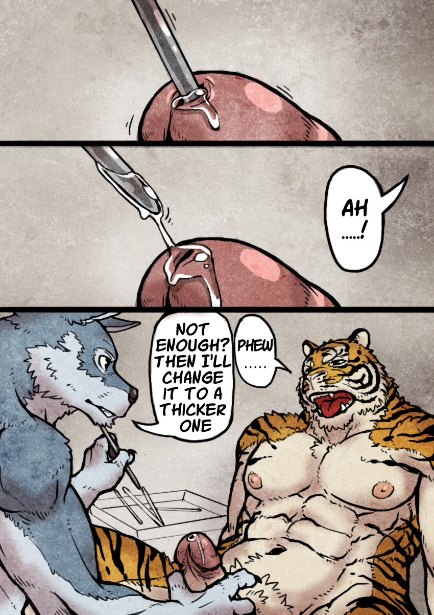 abs absurd_res anthro anthro_on_anthro anthro_penetrated anthro_penetrating anthro_penetrating_anthro biceps biped bodily_fluids canid canine canis comic duo english_text erection felid genital_fluids genitals hi_res humanoid_genitalia humanoid_penis interspecies jacketbear japanese_text male male_penetrated male_penetrating mammal navel nipples nude open_mouth pantherine pecs penetration penis precum sex sex_toy simple_background speech_bubble text tiger tongue tongue_out toying_partner translated urethral urethral_insertion urethral_penetration wolf