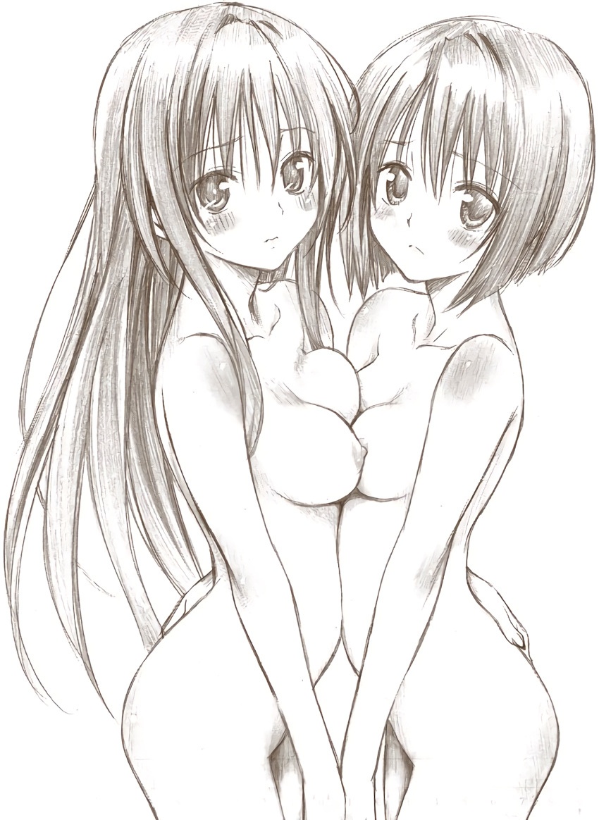 2girls areolae ass big_breasts blush breast_press breasts breasts_to_breasts cleavage collarbone completely_nude completely_nude_female different_breast_sizes female_only hand_on_another's_ass highres holding_hands kotegawa_yui long_hair looking_at_viewer medium_breasts monochrome multiple_girls nipples nude nude_female official_art sairenji_haruna short_hair simple_background sketch small_breasts symmetrical_docking to_love-ru white_background yabuki_kentarou yuri