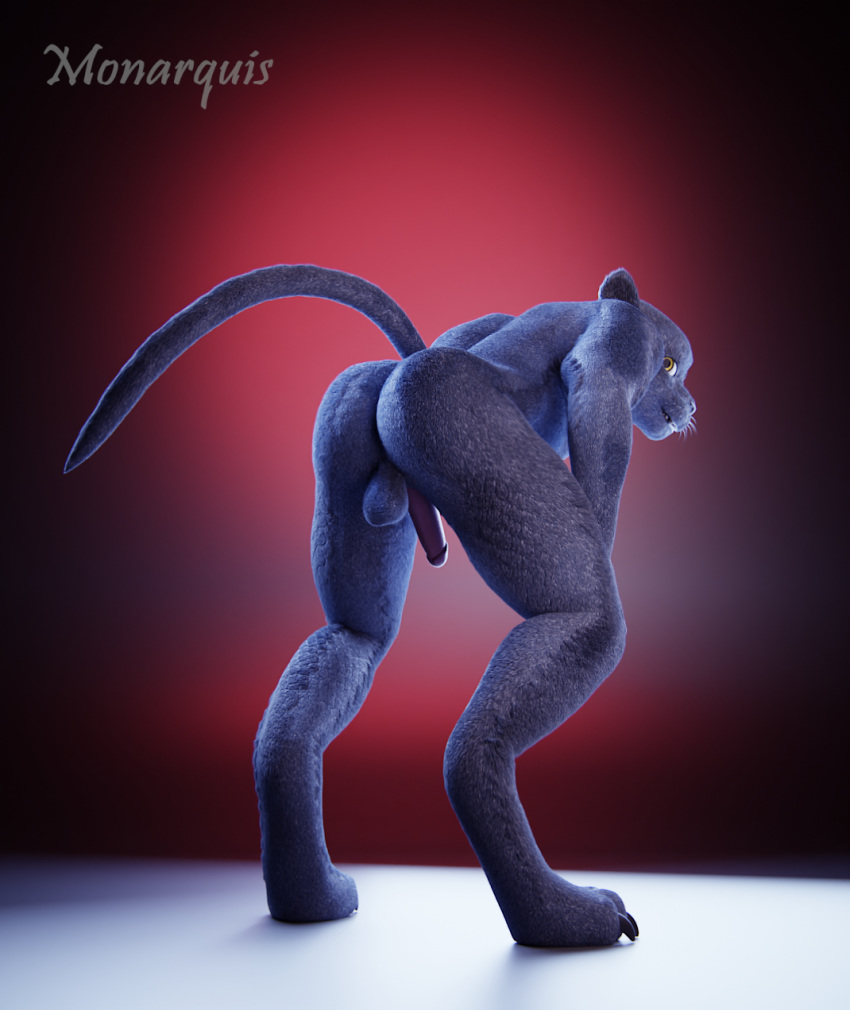 3d_(artwork) anthro ass balls blue_body blue_fur digital_media_(artwork) domestic_cat erection felid felide feline felis fur genitals hi_res kyngal male mammal monarquis penis russian_blue solo