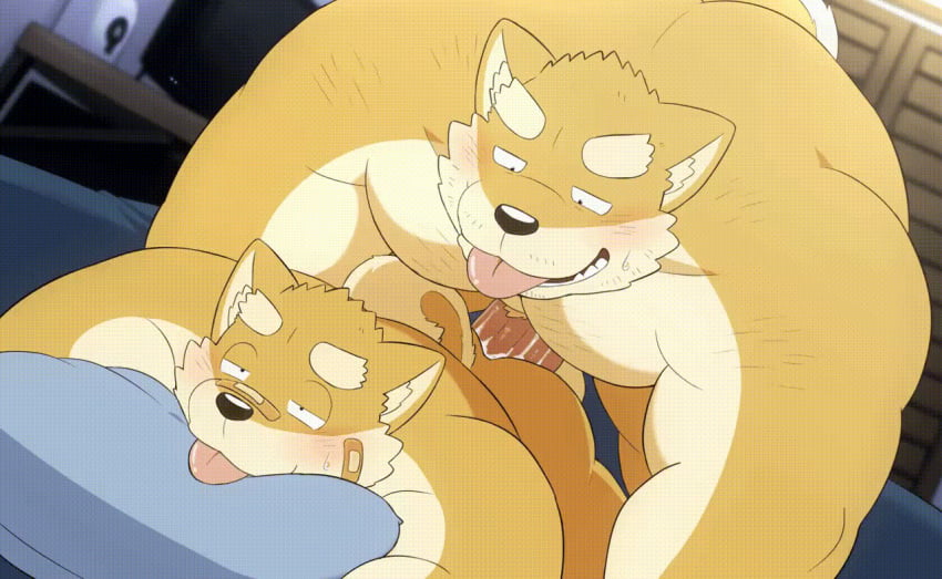 anal anal_sex animated anthro beartouma_0517 bungo_(beartouma_0517) canid canine canis domestic_dog duo father father_and_child father_and_son genitals incest male male/male mammal monta_(beartouma_0517) parent parent_and_child penetration penis son tongue tongue_out yaoi