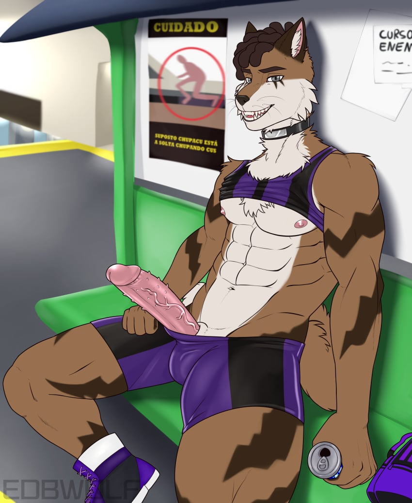 absurd_res anthro bus_stop clothing domestic_cat edbwolf exhibitionism felid feline felis footwear genitals hi_res male male/male mammal penis public public_nudity shoes sneakers solo