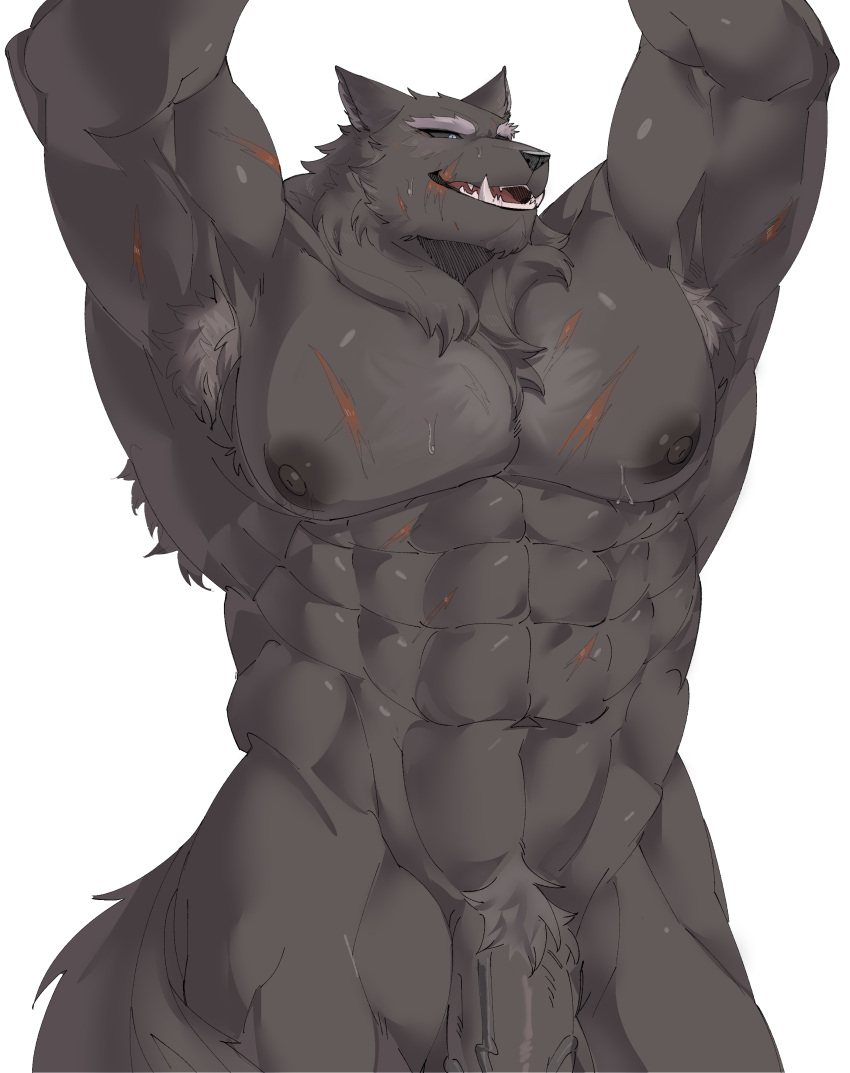 1boy abs absurd_res anthro armpit_hair balls barazoku biceps big_balls big_penis bl_carsen black_body black_fur blaidd_(elden_ring) bodily_fluids body_hair canid canine canis fangs flaccid foreskin fur genital_fluids genitals hi_res huge_cock humanoid_genitalia humanoid_penis looking_at_viewer male male_only mammal muscular muscular_anthro muscular_male muscular_thighs nipples nude pecs penis precum pubes scar simple_background smile solo standing teeth video_games wolf