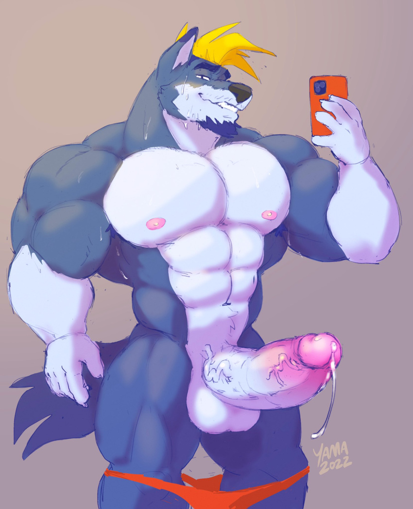 2022 abs anthro balls big_muscles big_penis bodily_fluids canid canine canis clothed clothing dripping erection facial_hair genital_fluids genitals hi_res humanoid_genitalia humanoid_penis male mammal muscular muscular_anthro muscular_male nipples partially_clothed pecs penis phone precum precum_drip simple_background solo thick_penis underwear underwear_down vein veiny_penis wolf wolfyama