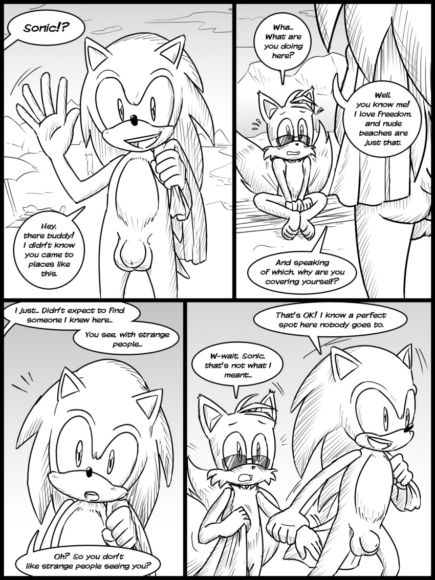 aged_up anthro ass balls beach beach_towel black_border border canid canine comic covering covering_self duo embarrassed english_text eulipotyphlan eyewear fox genitals hedgehog hi_res humanoid male male/male malezor mammal nude nude_beach penis seaside sega sonic_(series) sonic_the_hedgehog sonic_the_hedgehog_(series) sunglasses tails text towel young