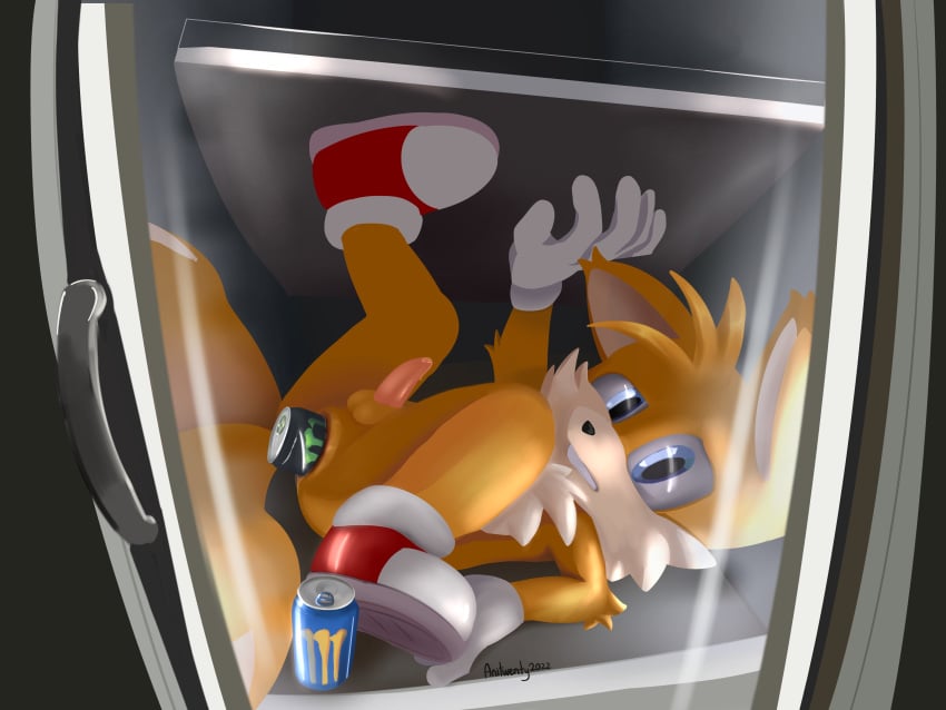 absurd_res anal anal_sex anitwenty anthro balls beverage_can canid canine footwear fox genitals handwear hi_res improvised_dildo improvised_sex_toy male male_focus male_only male_penetrated male_solo mammal monster_energy penetration penis sega solo solo_male sonic_(series) sonic_the_hedgehog_(series) tails