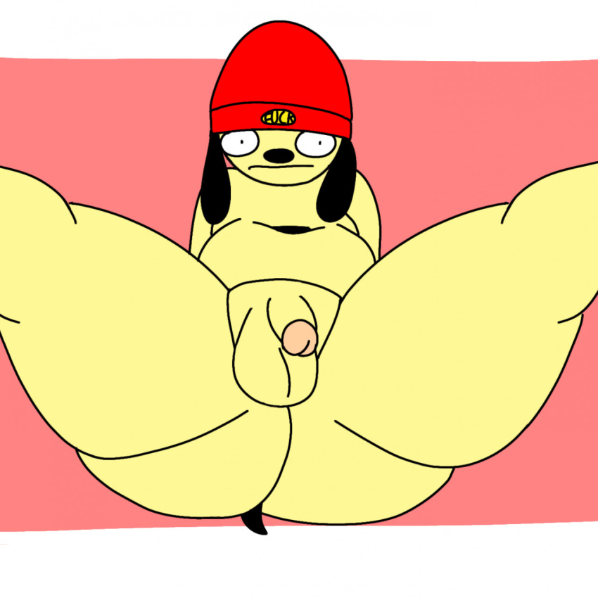 Parappa (Parappa The Rapper) Rule 34 Image