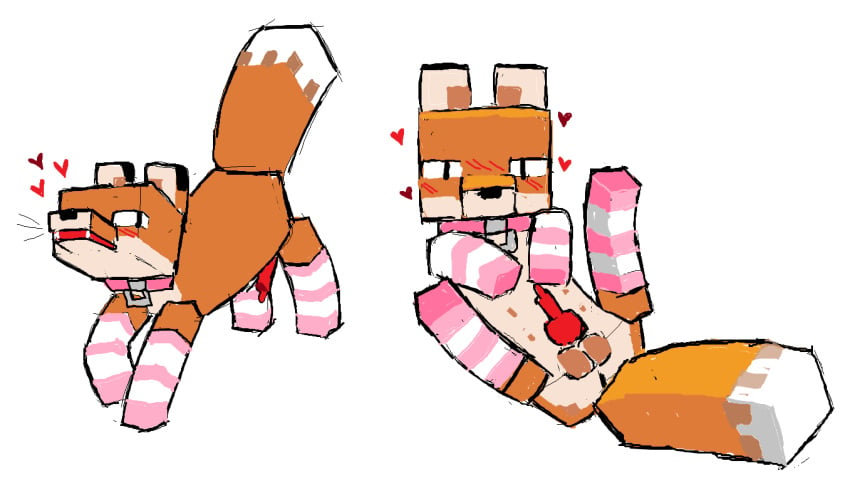 <3 blush blush_lines blushing canine_penis collar femboy feminine_male fox fox_(minecraft) heart knot knotted_penis legwear male_only minecraft multiple_views not_furry penis presenting socks striped_legwear white_background worm_(artist)