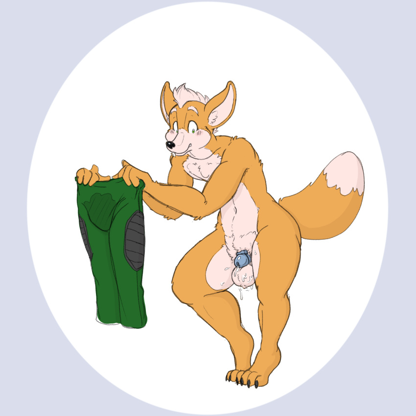 1:1 2021 anthro balls blush blush_lines bodily_fluids bottomwear canid canine chastity_cage chastity_device claws clothing cum cum_on_balls cum_on_clothing cum_stain ejaculation fox fox_mccloud fur genital_fluids genitals green_bottomwear green_clothing green_pants hi_res holding_bottomwear holding_clothing holding_object holding_pants inner_ear_fluff looking_down looking_worried male male_only mammal nintendo nude pants pihlaja raised_tail solo stain stained_clothing star_fox tiptoes toe_claws tuft video_games