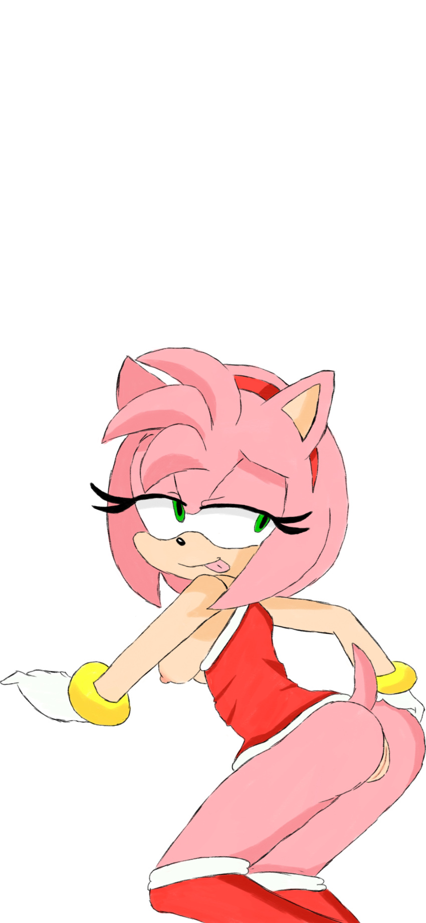Amy Rose (Sega) Rule 34 Image