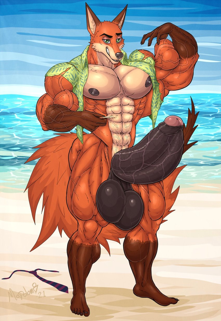 abs anthro bara barazoku beach biceps big_balls big_biceps big_muscles big_penis big_triceps bodybuilder calves clothing disney eight_pack fox giant_male giant_penis growing growing_out_of_clothes growth huge_biceps huge_butt huge_calves huge_cock huge_pecs huge_triceps hyper_balls hyper_muscles hyper_penis hyper_testicles male_only mammal mrmapolomi muscle muscle_growth muscled muscles muscular muscular_anthro muscular_arms muscular_ass muscular_legs muscular_male muscular_thighs nick_wilde nipples orange_body orange_fur outgrowing_clothes partially_clothed pecs ripped ripped_clothes ripped_clothing solo solo_male tail triceps veiny_muscles veiny_penis zootopia zootropolis