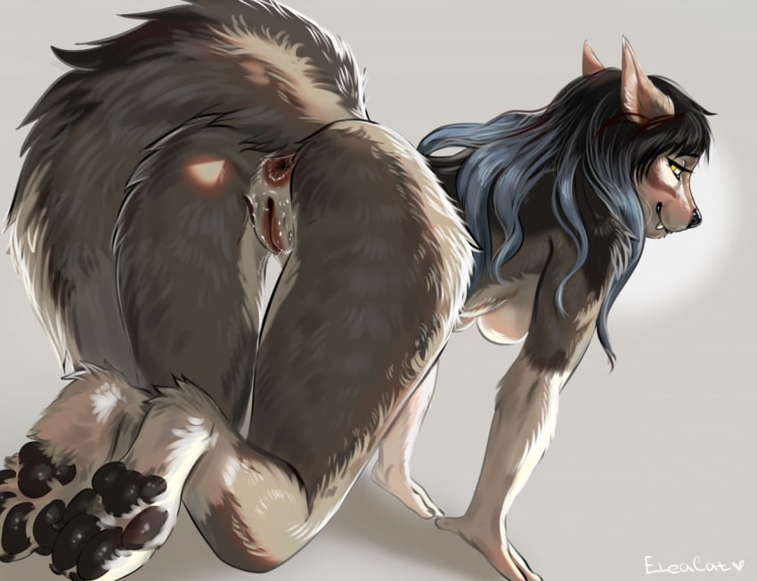 2022 4_toes all_fours anthro anus ass biped black_hair black_nose black_pawpads blush bodily_fluids breasts canid canine canis claws digital_drawing_(artwork) digital_media_(artwork) eleacat english_text featureless_breasts feet female fingers fur furry furry_only genital_fluids genitals grey_body grey_fur hair in_heat inner_ear_fluff kneeling looking_back mammal no_nipples nude pawpads paws presenting presenting_anus presenting_hindquarters presenting_pussy pussy pussy_juice raised_tail rear_view side_boob simple_background solo tail tala_(wolfizen) text toe_claws toes tuft under_boob white_body white_fur wolf yellow_eyes