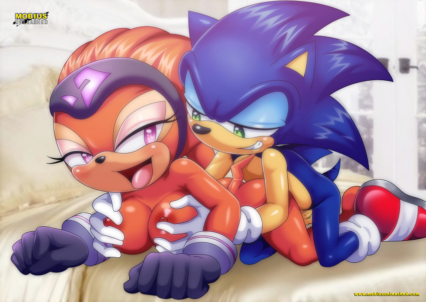 all_fours bbmbbf bed bedroom big_breasts from_behind from_behind_position furry grabbing_from_behind hands_on_breasts male mobius_unleashed palcomix sega sex shade_the_echidna sonic_(series) sonic_the_hedgehog squeezing_breast taken_from_behind