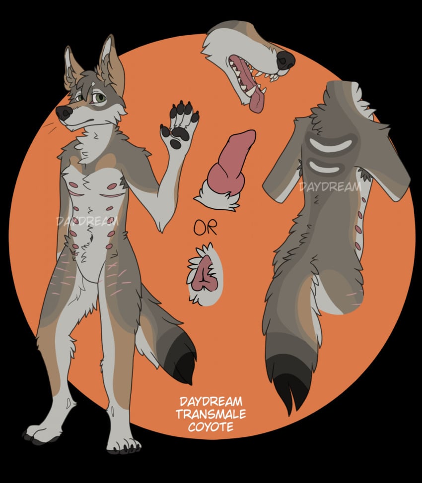 1boy anatomically_correct anatomically_correct_genitalia andromorph anthro armpit_hair belly belly_nipples black_nose black_pawpads black_tail_tip body_hair brown_body cackling-beast canid canine canis coyote cuntboy daydream_(cackling-beast) disembodied_head disembodied_penis disembodied_pussy genitals green_eyes hi_res intersex looking_at_viewer male mammal mastectomy_scar model_sheet natural_colors pawpads penis pussy scar solo tongue tongue_out white_belly