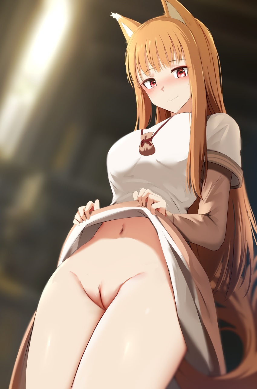 1girls animal_ears blush bottomless dress dress_lift ginhaha holo looking_at_viewer navel pussy spice_and_wolf uncensored vagina