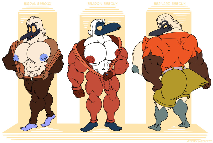 absurd_res anthro avian bernard big_nipples bird blue-footed_booby blue_nipples booby_(bird) bottomwear brother brothers bulge clothing coveralls flashing flashing_pecs grey_nipples group hi_res male metrothefox muscular muscular_male nipples overalls pecs red_nipples shorts sibling sulid trio